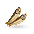 acciughe di cetara