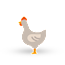 pollo