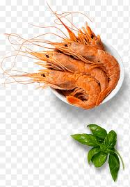 Crostacei