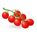 pomodorini