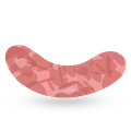 salsiccia