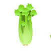 Sedano