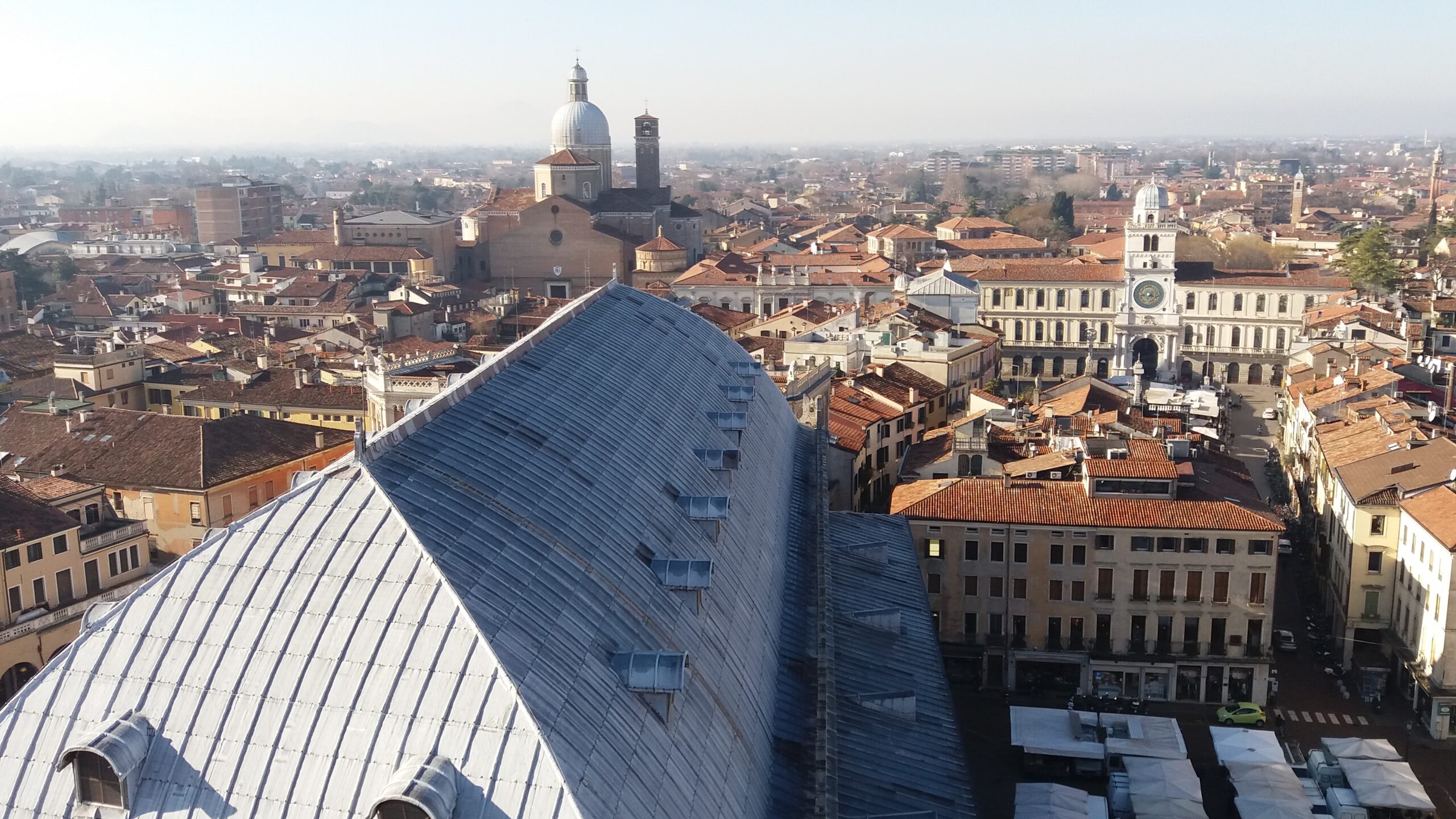 Compara le pizze delle migliori pizzerie di Padova